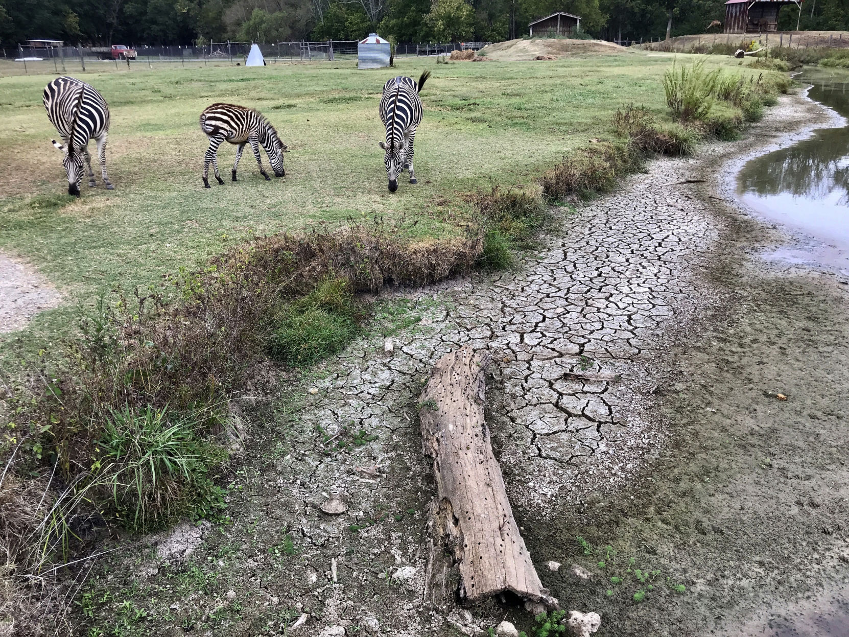 Southern Drought